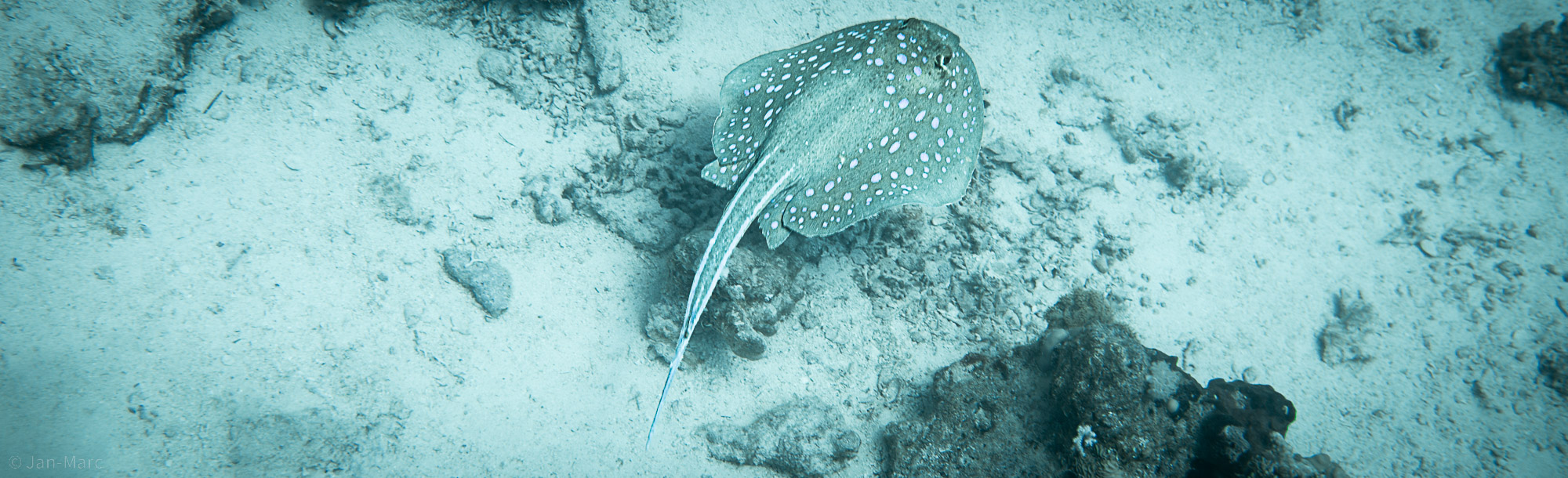 Ägypten, Abu Ramada South