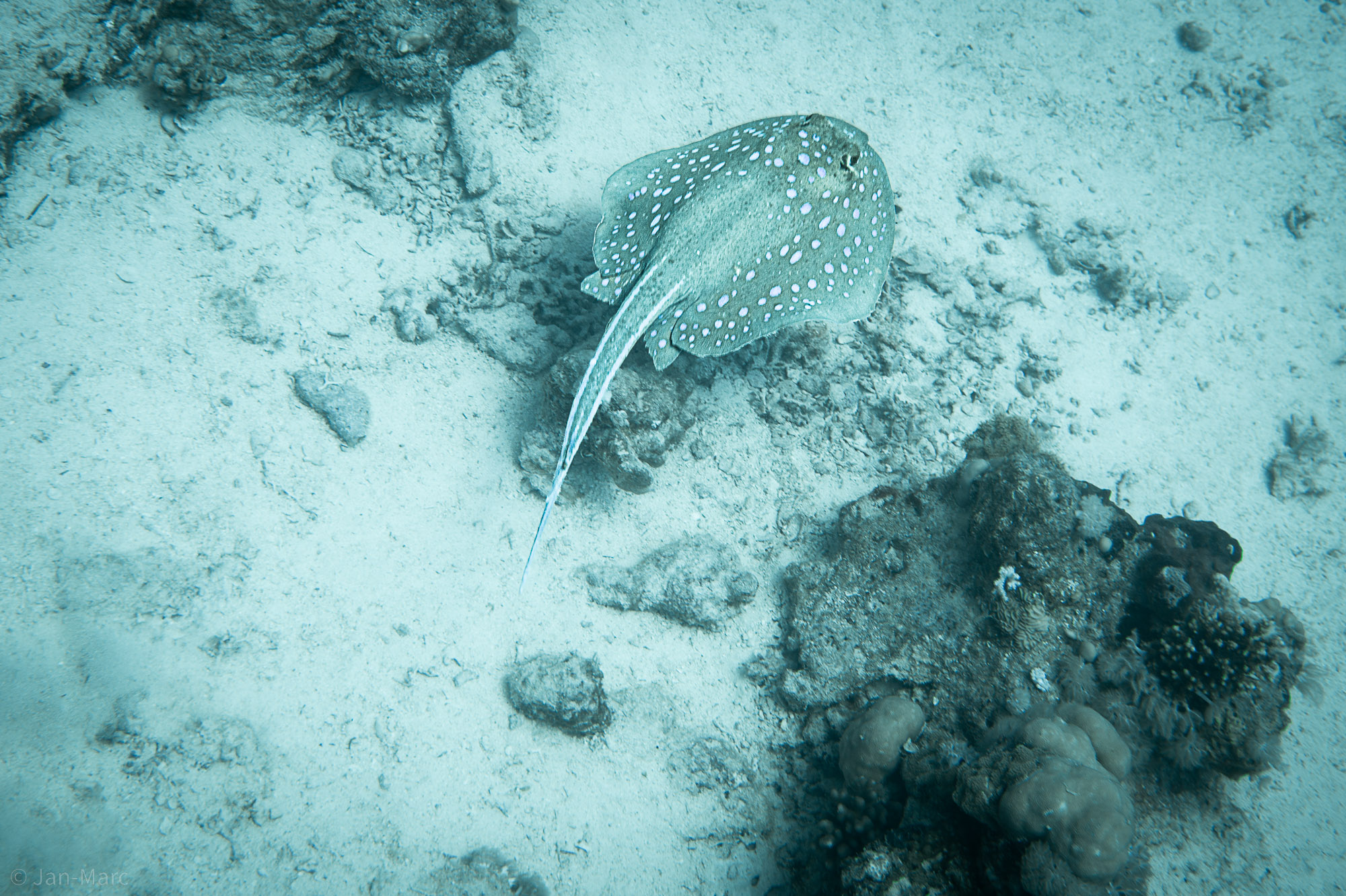 Ägypten, Abu Ramada South