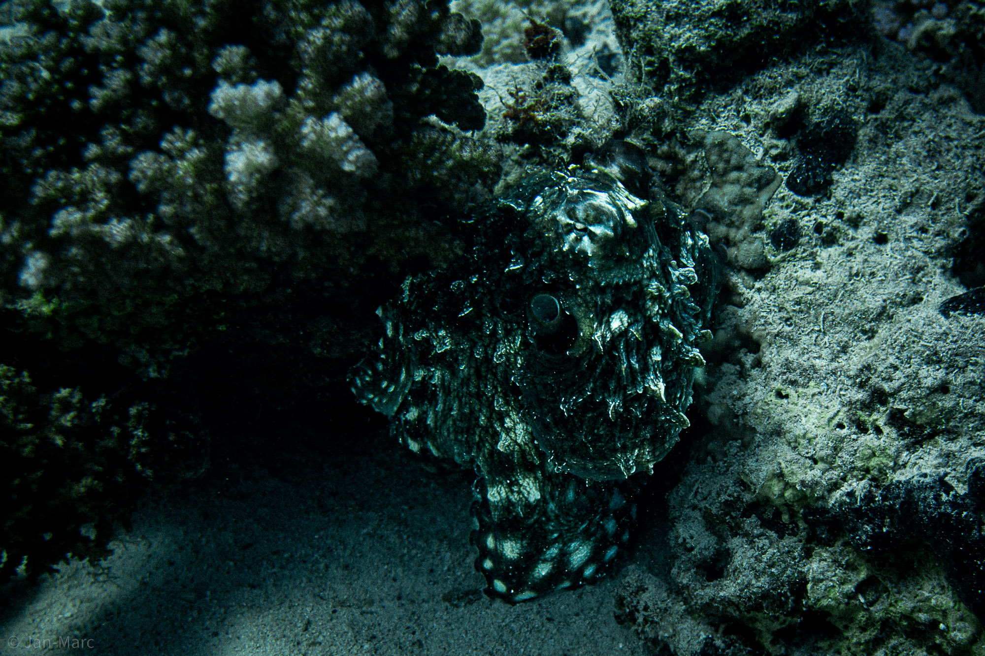 Ägypten, El Fanadir North