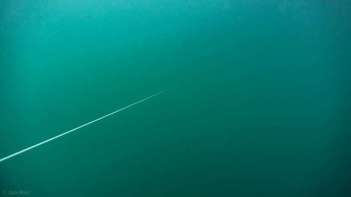 Tauchen im Kreidesee Hemmoor – blaue Unterwassertrübung mit sichtbarer Führungsleine