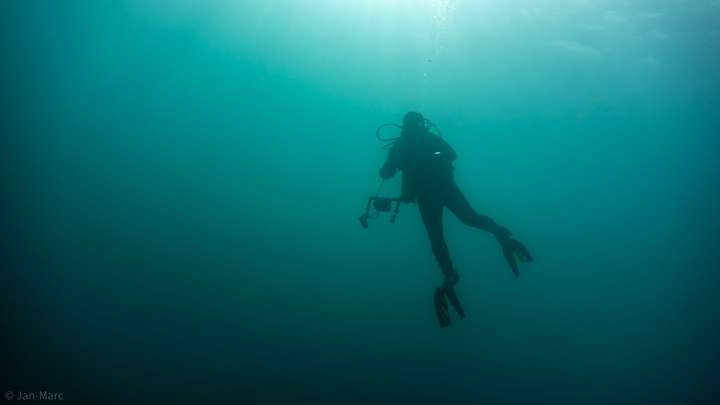 Tauchen im Kreidesee Hemmoor – schwerelos unter Wasser