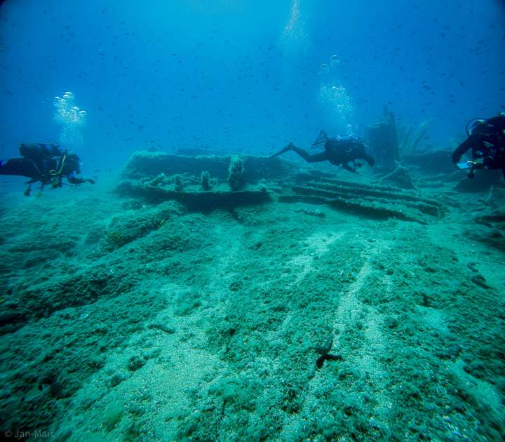 Fischschwärme schwimmen um ein Schiffswrack.
