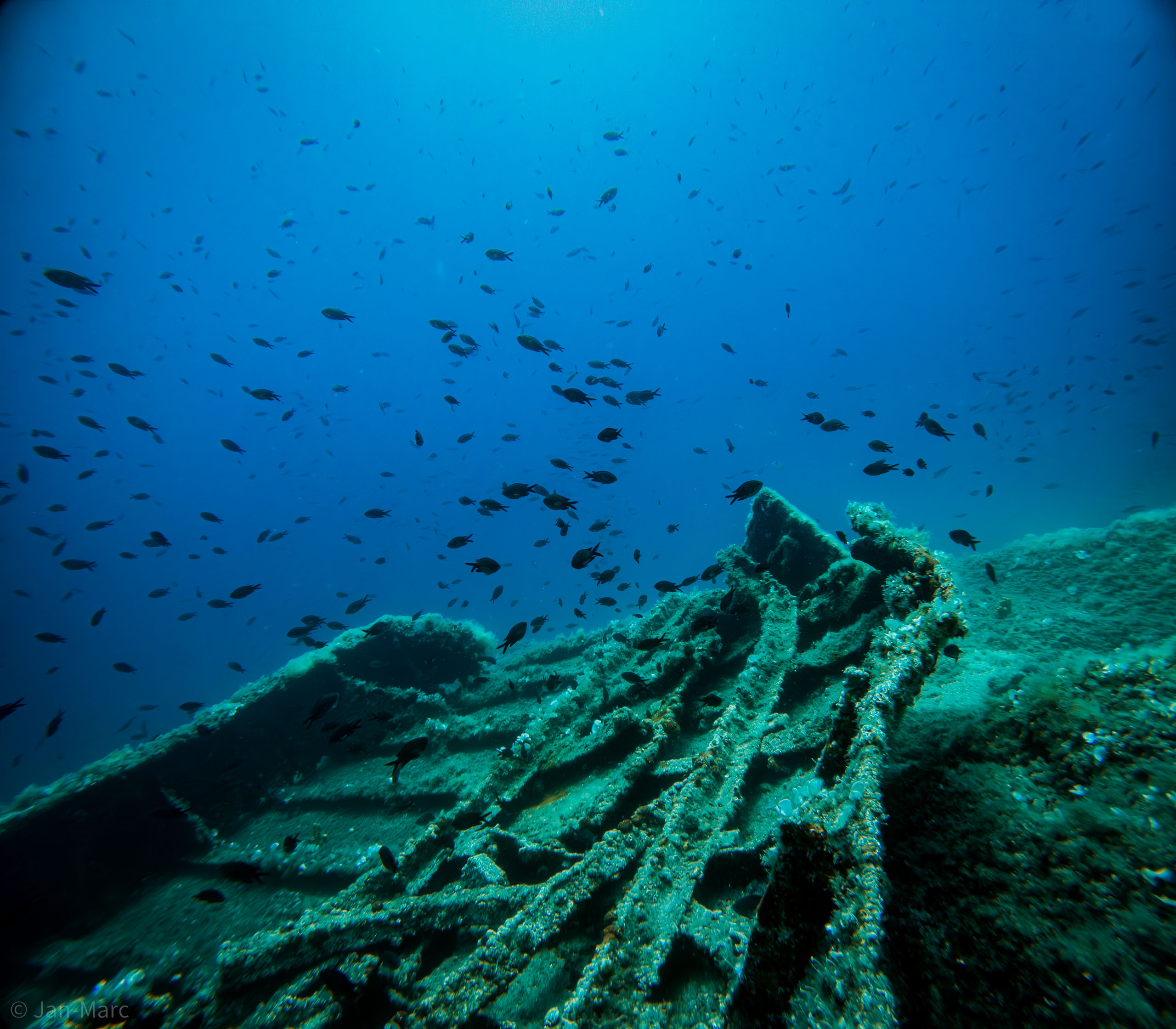 Unterwasseraufnahme von Wrackteilen bei Murter, über denen sich Fischschwärme tummeln