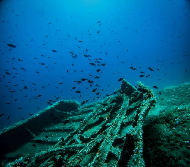 Unterwasseraufnahme von Wrackteilen bei Murter, über denen sich Fischschwärme tummeln