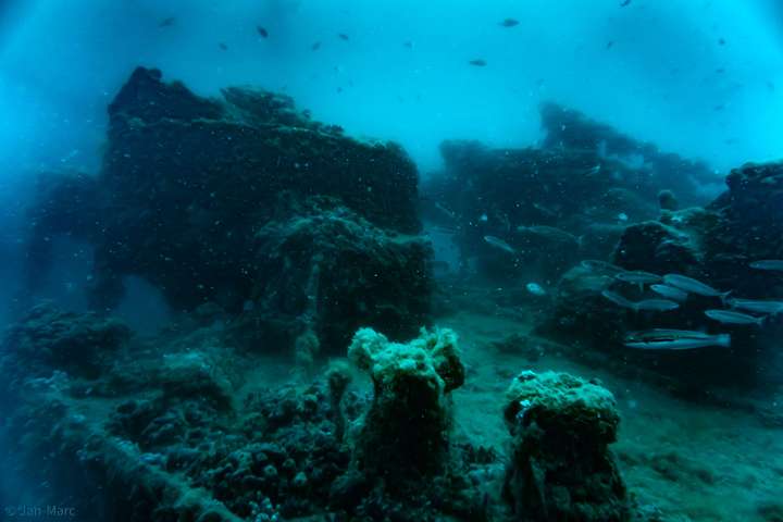 Wracktaucher entdecken am Bug des Kriegsschiffs spannende Details.