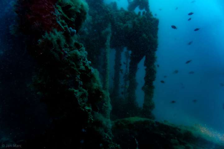 Entlang der Reling des Wracks zeigen sich spannende Details für Taucher
