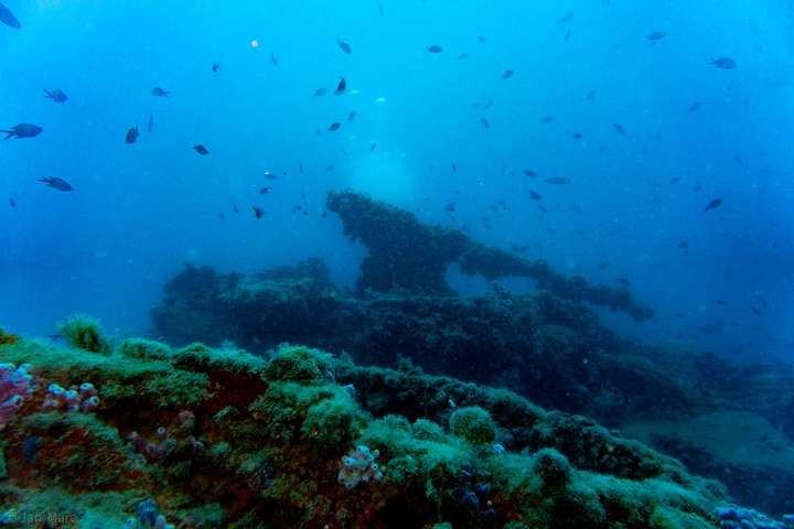 die Kanone des Wracks ist für Taucher noch immer gut erkennbar.